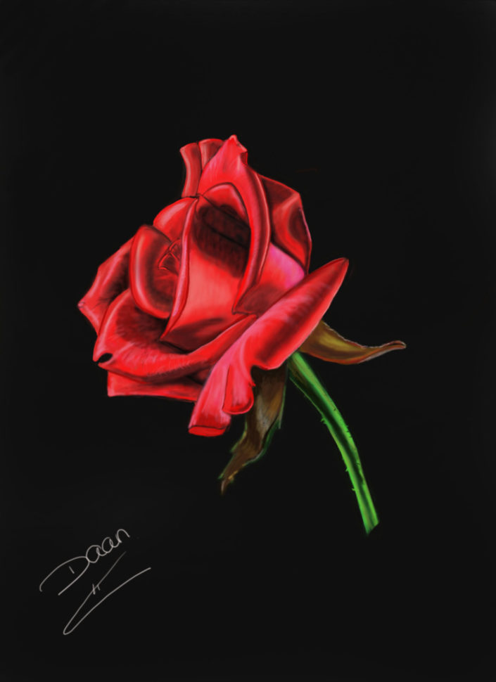Roos